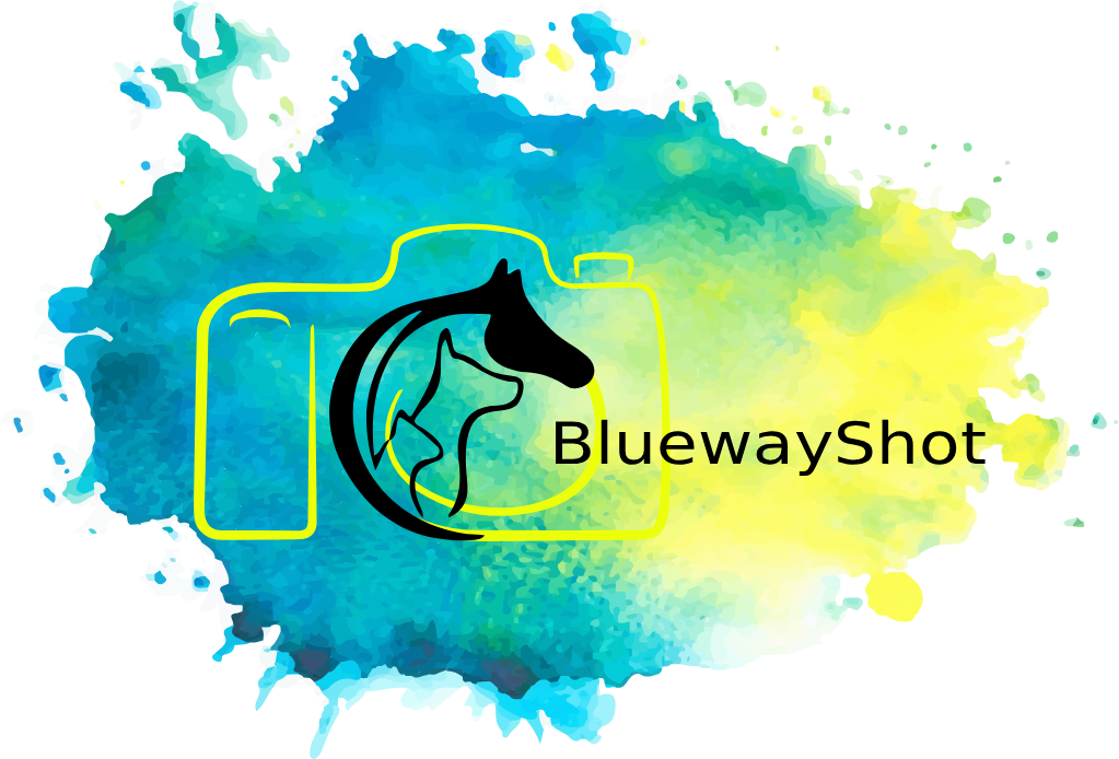 BluewayShot logo with horse and dog silhouettes inside a camera icon on watercolor background.